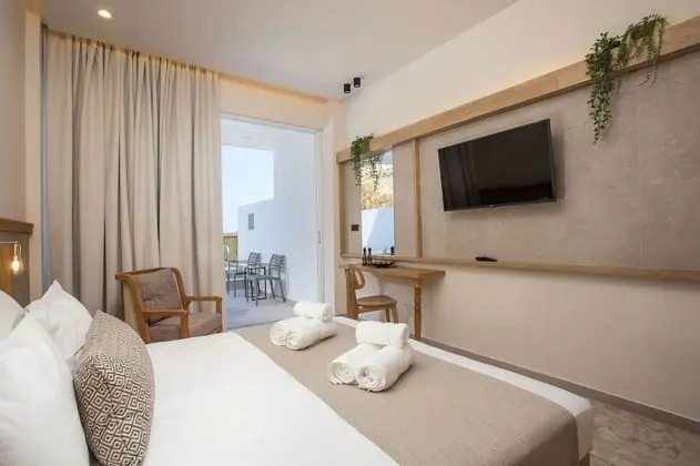 Premium Tek Büyük Yataklı Oda
