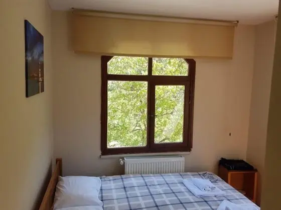 Arch Standard Room, Dere ve Orman Manzaralı, 1. Kat
