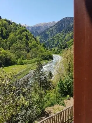 Arch Standard Room, Dere ve Orman Manzaralı, 1. Kat