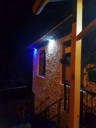 Arch Standard Room, Dere ve Orman Manzaralı, 1. Kat