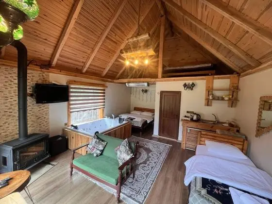 Dağ Evi, Vadi Manzaralı, Şömineli ve Jakuzili