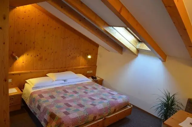 Classic Tek Büyük veya İki Ayrı Yataklı Oda (Bucaneve)