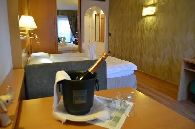 Deluxe Oda, 1 Yatak Odası, Engellilere Uygun (Stella alpi)