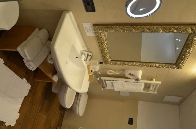 Deluxe Oda, 1 Yatak Odası, Engellilere Uygun (Stella alpi)