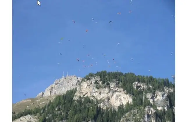 Deluxe Oda, 1 Yatak Odası, Engellilere Uygun (Stella alpi)