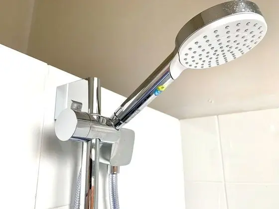 Tek Büyük Yataklı Oda, 1 Yatak Odası