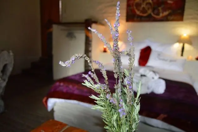 Luxury Dağ Evi, 1 En Büyük (King) Boy Yatak