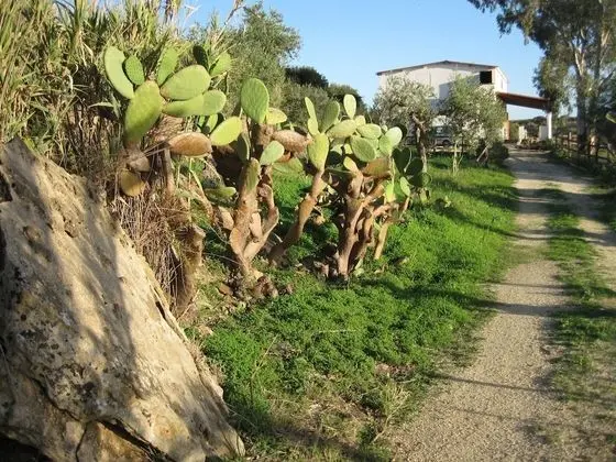 Villa, 3 Yatak Odası, Şömine