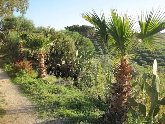 Villa, 3 Yatak Odası, Şömine