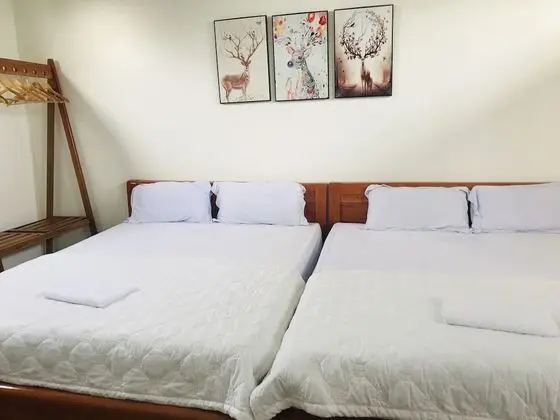 Basic Dört Kişilik Oda