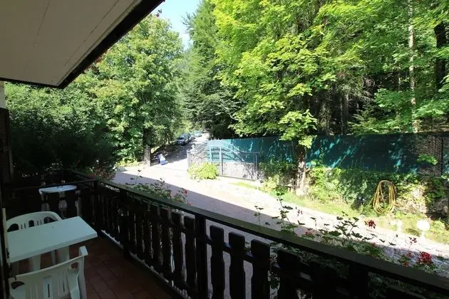 Tek Büyük veya İki Ayrı Yataklı Oda, Park Manzaralı