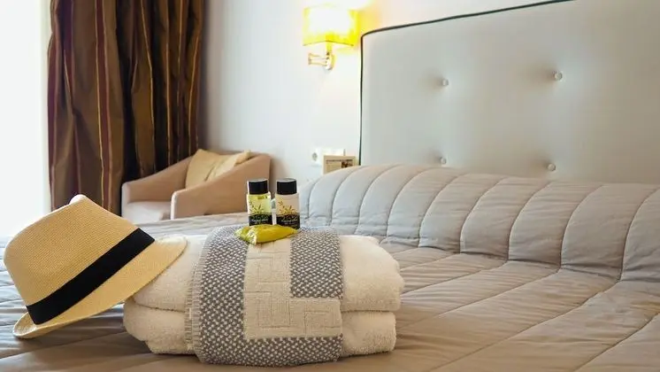 Superior Tek Büyük Yataklı Oda