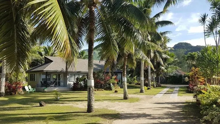 Stüdyo, Bahçe Manzaralı
