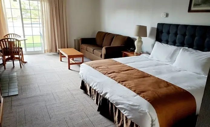 Studio with 1 King Bed with Sofa bed