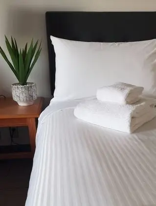 Studio with 1 King Bed with Sofa bed