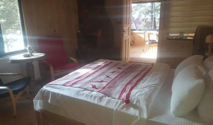 Şömineli Bahçe Bungalov Oda