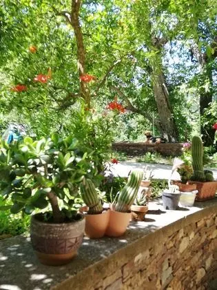 Traditional Tek Büyük Yataklı Oda, Özel Banyo, Bahçe Manzaralı