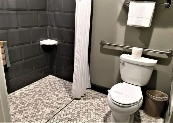 Deluxe Tek Kişilik Oda, 1 En Büyük (King) Boy Yatak, Sigara İçilmez, Bahçe Manzaralı