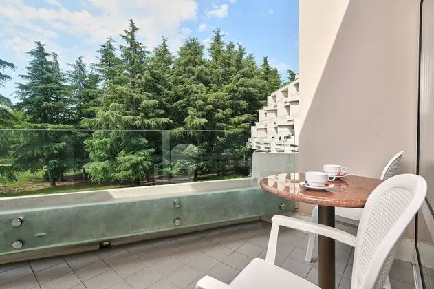 Classic Room with Balcony, Park side (extra bed)