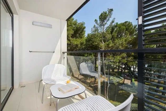 Süit, Balkon, Park Manzaralı