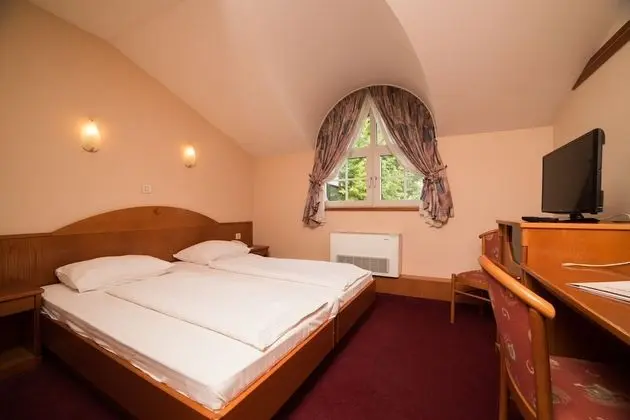 Standard Tek Büyük Yataklı Oda