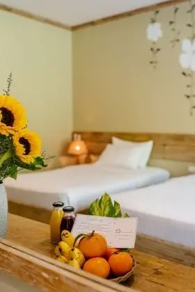 Deluxe İki Ayrı Yataklı Oda, Bahçe Manzaralı