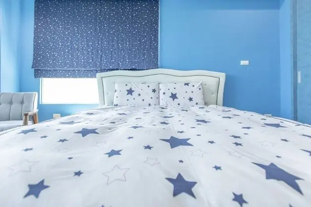 Comfort Tek Büyük Yataklı Oda, 1 Çift Kişilik Yatak, Sigara İçilmez