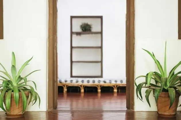 Traditional Villa