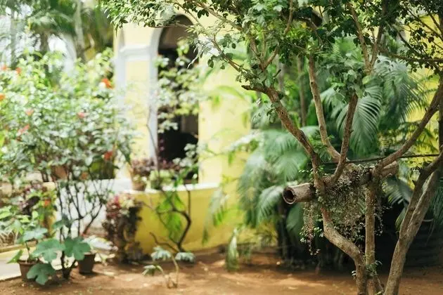Traditional Villa