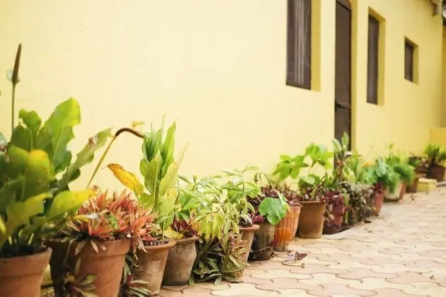 Traditional Villa
