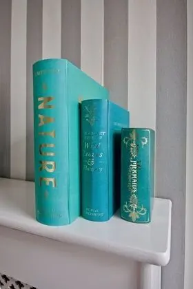 Deluxe Tek Büyük veya İki Ayrı Yataklı Oda, Banyolu/Duşlu
