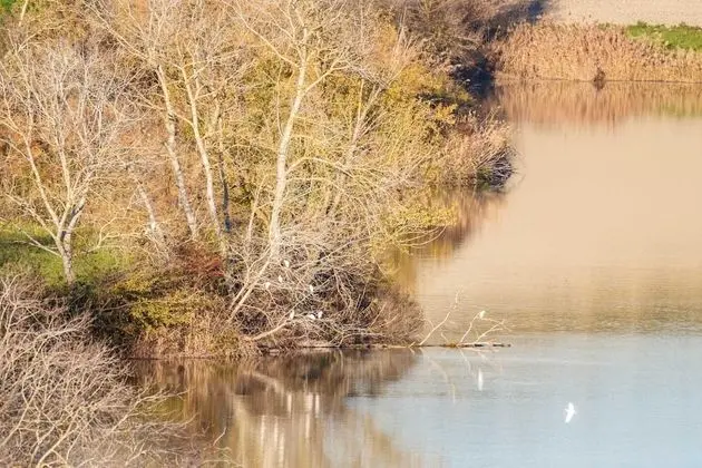 Villa, Sigara İçilebilir