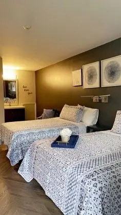 Deluxe Tek Büyük Yataklı Oda, 2 Çift Kişilik Yatak