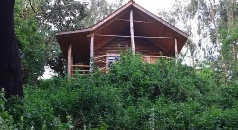 Standard Kır Evi, Göl Manzaralı