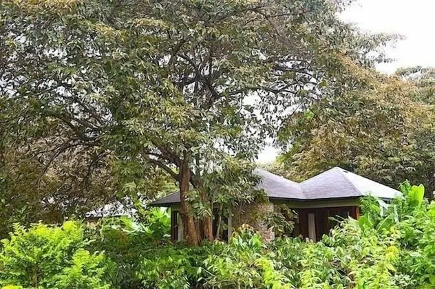 Luxury Dağ Evi