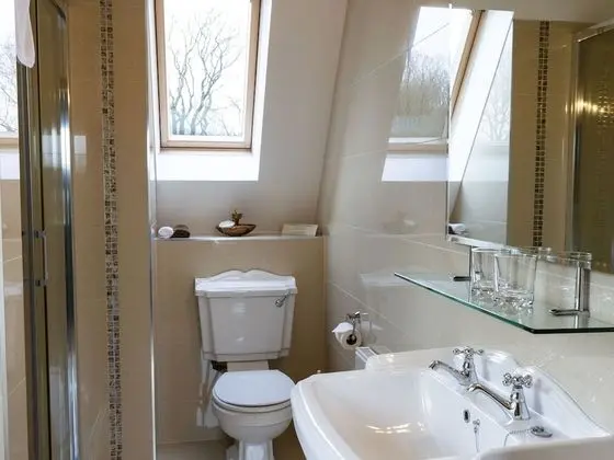 Deluxe Dört Kişilik Oda, Banyolu/Duşlu, Göl Manzaralı (Lake View Room)