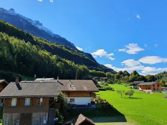 Basic Tek Büyük Yataklı Oda, Ortak Banyo, Dağ Manzaralı