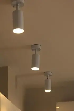 Penthouse Apartment 1