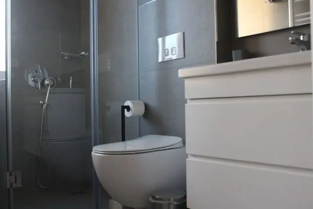 Penthouse Apartment 1