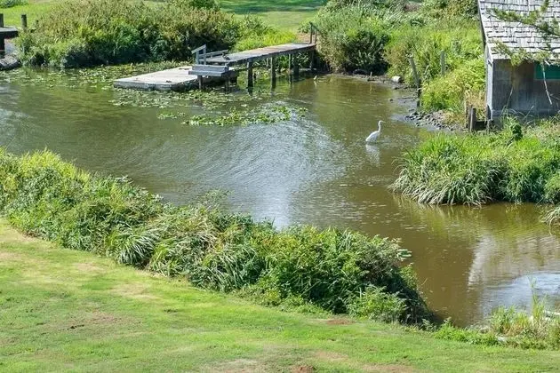 Ev, Birden Çok Yatak (Lake Point Hideaway)