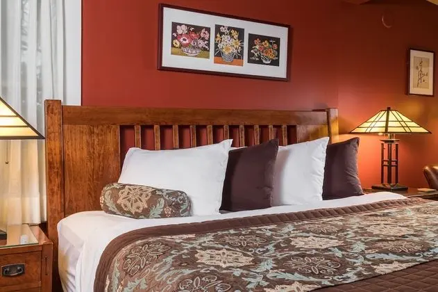 Deluxe Tek Kişilik Oda, 1 En Büyük (King) Boy Yatak, Balkon, Göl Manzaralı