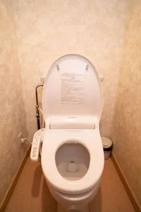 Traditional Oda, Ortak Banyo (Japanese Western Style, Suite)