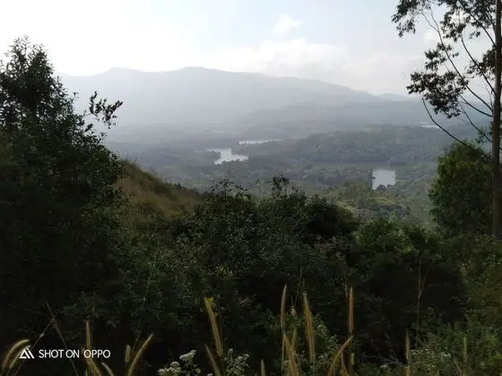 Panoramic Çadır, 1 Tek Kişilik XL Yatak, Sigara İçilmez, Göl Manzaralı