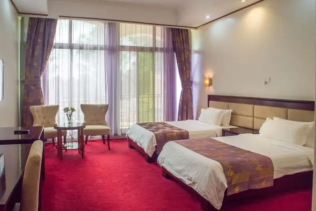 Deluxe Tek Büyük veya İki Ayrı Yataklı Oda