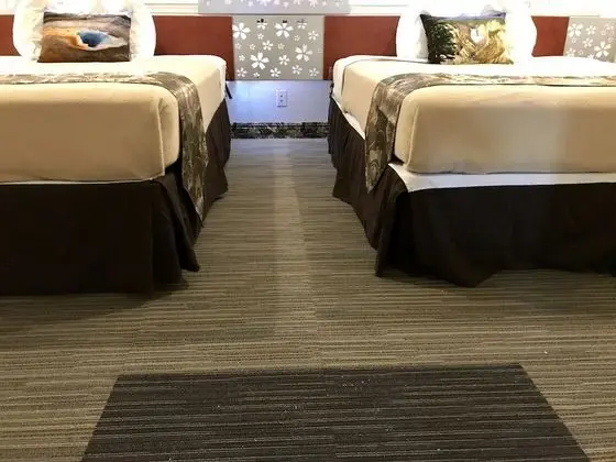Comfort Süit, Göl Manzaralı