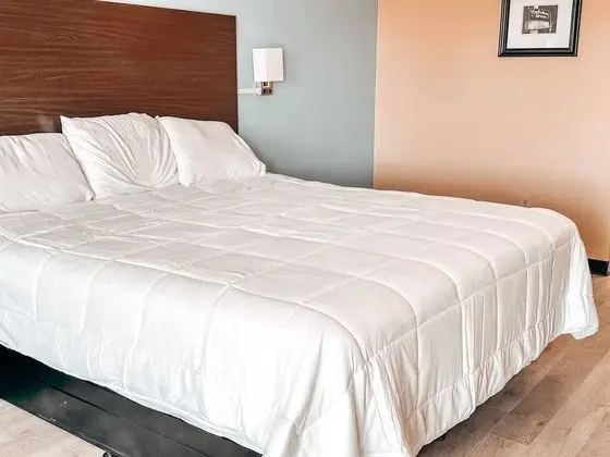 Oda, 1 En Büyük (King) Boy Yatak