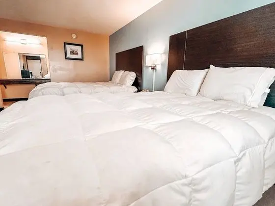 Oda, 2 Büyük (Queen) Boy Yatak