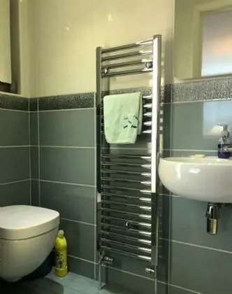 Executive Tek Büyük Yataklı Oda, 1 Çift Kişilik Yatak