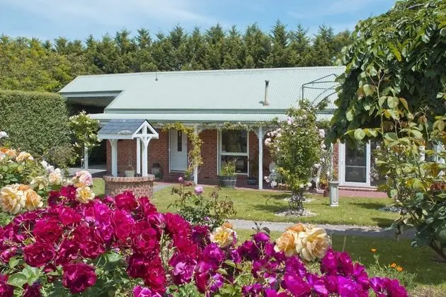 Standard Stüdyo, Sigara İçilmez, Mutfak (Lakeside Cottage)