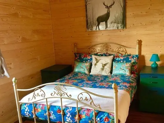Comfort Apart Daire, Özel Banyo, Göl Manzaralı (Swan Lodge)